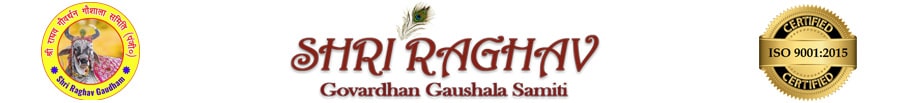 Mobile Logo